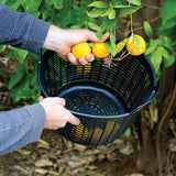 12 Litre Cesto Foodsafe Draining Mesh Gorilla Tub