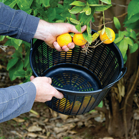 12 Litre Cesto Foodsafe Draining Mesh Gorilla Tub