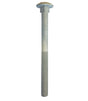 M12 x 35 Galvanised Carriage / Coach / Cup Square Bolts (Bolt Only) DIN 603/934