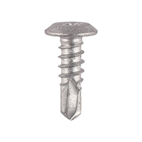 4.8 x 16 Timco Philips No. 2 Low Profile Low Pan Head, Exterior Quality Plating LPP16 / DS-PAN