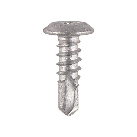 4.8 x 16 Timco Philips No. 2 Low Profile Low Pan Head, Exterior Quality Plating LPP16 / DS-PAN