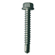 Evoshield 5.5 x 19mm (5/16" Hexagon Head) Self Drill, for Steel 1.2-4.0mm Thickness TSHW5.5-19-3
