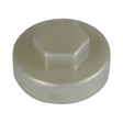 19mm Cover Cap Silver to suit hexagon head self drill screws with 8mm 5/16" heads, 19mm washers