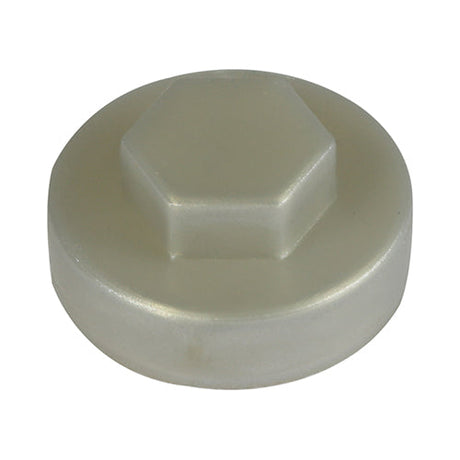 19mm Cover Cap Silver to suit hexagon head self drill screws with 8mm 5/16" heads, 19mm washers