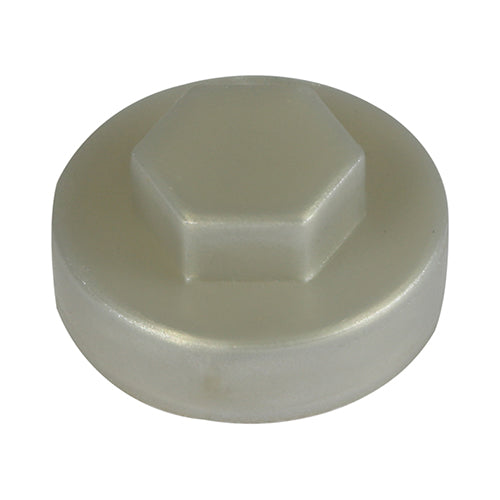 19mm Cover Cap Silver to suit hexagon head self drill screws with 8mm 5/16" heads, 19mm washers