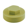 19mm Cover Cap Moorland Green to suit hexagon head self drill screws with 8mm 5/16" heads, 19mm washers