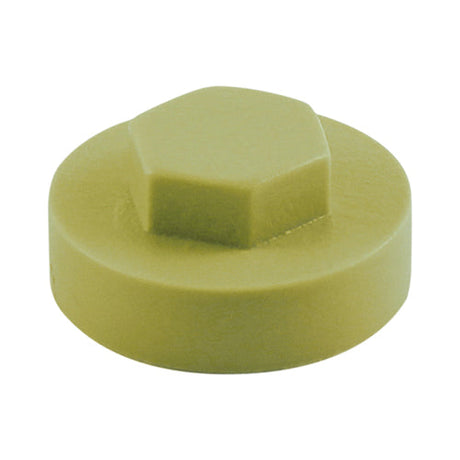 19mm Cover Cap Moorland Green to suit hexagon head self drill screws with 8mm 5/16" heads, 19mm washers
