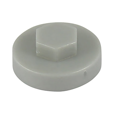 19mm Cover Cap White to suit hexagon head self drill screws with 8mm 5/16" heads, 19mm washers