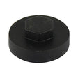 19mm Cover Cap Black to suit hexagon head self drill screws with 8mm 5/16" heads, 19mm washers