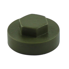 19mm Cover Cap Oyster to suit hexagon head self drill screws with 8mm 5/16" heads, 19mm washers