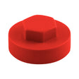 19mm Cover Cap Poppy to suit hexagon head self drill screws with 8mm 5/16" heads, 19mm washers