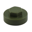 19mm Cover Cap Olive Green to suit hexagon head self drill screws with 8mm 5/16" heads, 19mm washers