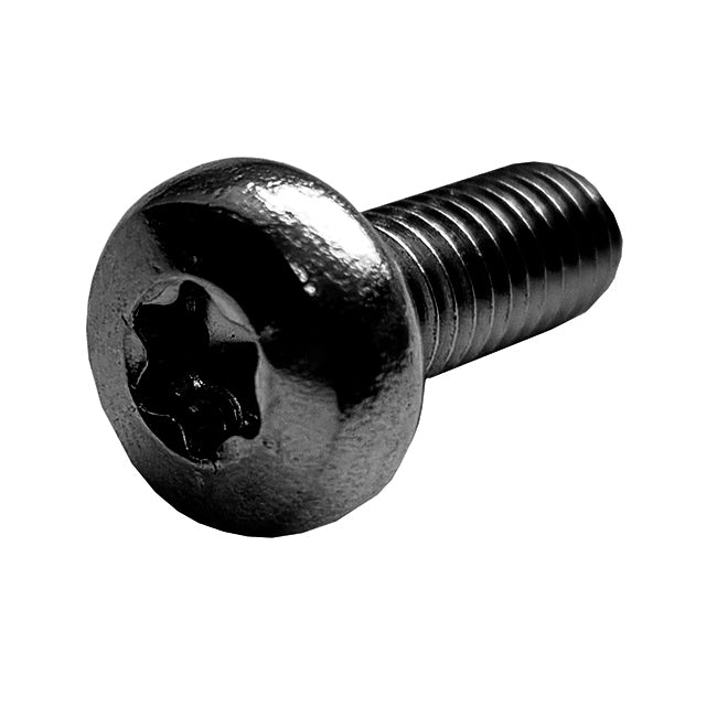M3 x 10mm Pan Machine Screw, TX-10 Black, DIN 7985