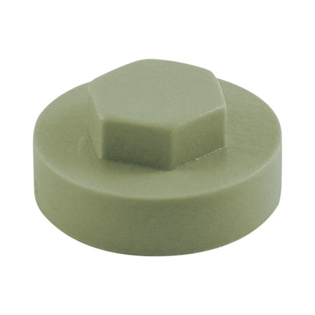 16mm Cover Cap Meadowland  to suit hexagon head self drill screws with 16mm washers