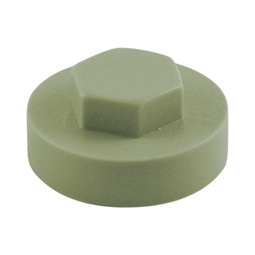 16mm Cover Cap Meadowland  to suit hexagon head self drill screws with 16mm washers