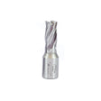 20mm Rotabroach Mag Drill Cuter Short Series - Raptor RAP200