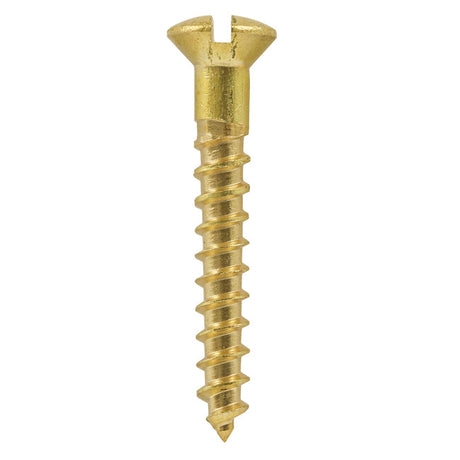 8 x 3/4" Raised Countersunk Head Slot Brass Wood Screw