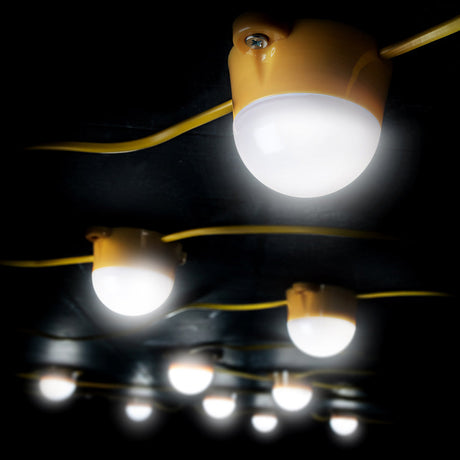 Birchwood 22M 50 Watt LED Sealed Module Festoon Kit 110V