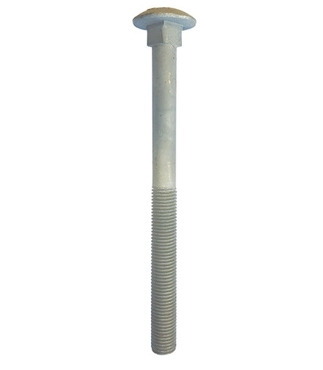 M10 x 20 Galvanised Carriage / Coach / Cup Square Bolts (Bolt Only) DIN 603/934