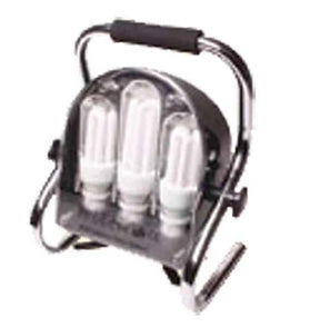 240V Energy Saving Light AT42032