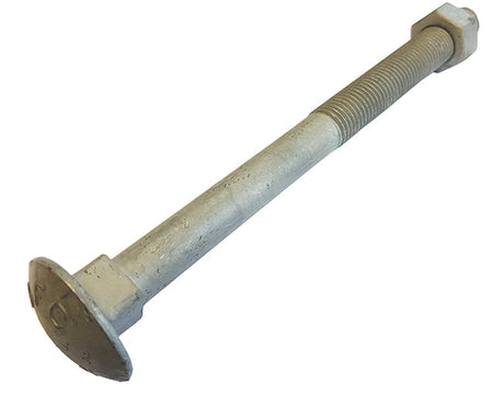 M16 x 150 Galvanised Carriage / Coach / Cup Square Bolts with Nuts DIN 603/934