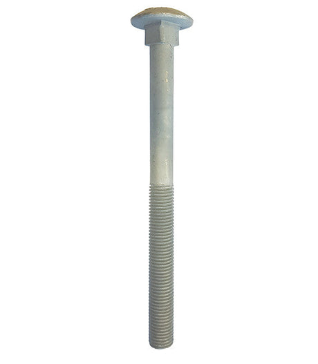 M10 x 300 Galvanised Carriage / Coach / Cup Square Bolts (Bolt Only) DIN 603/934