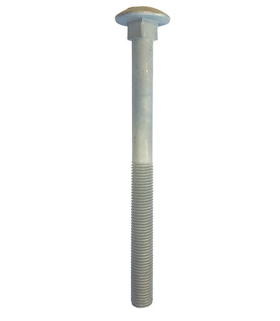 M10 x 160 Galvanised Carriage / Coach / Cup Square Bolts (Bolt Only) DIN 603/934