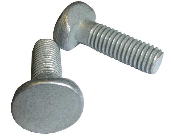 M8 x 25 T-Bolt Galv (for W section palisade)