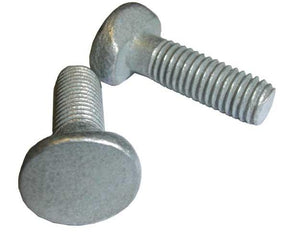 M8 x 25 T-Bolt Galv (for W section palisade)
